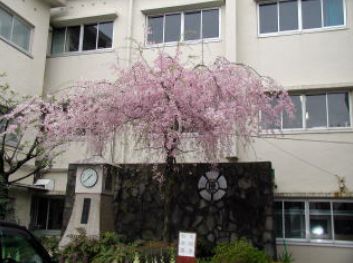 小学校　川口市立原町小学校（小学校）まで221m