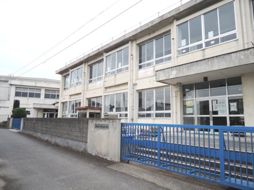 小学校　泉南市立雄信小学校（小学校）まで500m