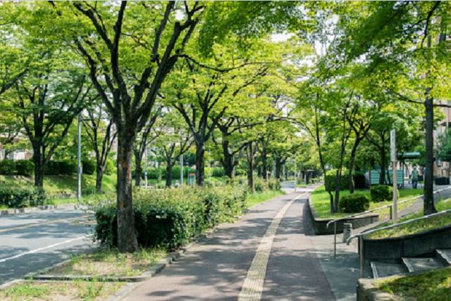 その他共有部分　街路樹が街を取り囲んでいます。