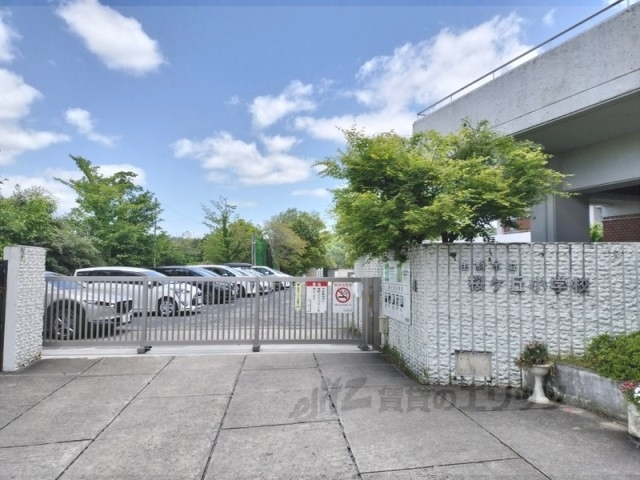 小学校　生駒市立桜ヶ丘小学校（小学校）まで160m