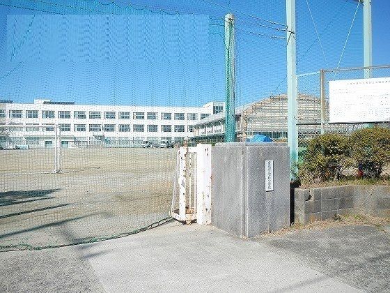 チェリーブロッサムIIの周辺写真