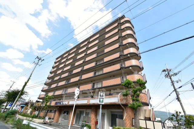 シロハイヌ今米の外観写真