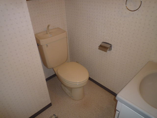 コア山一のトイレ写真
