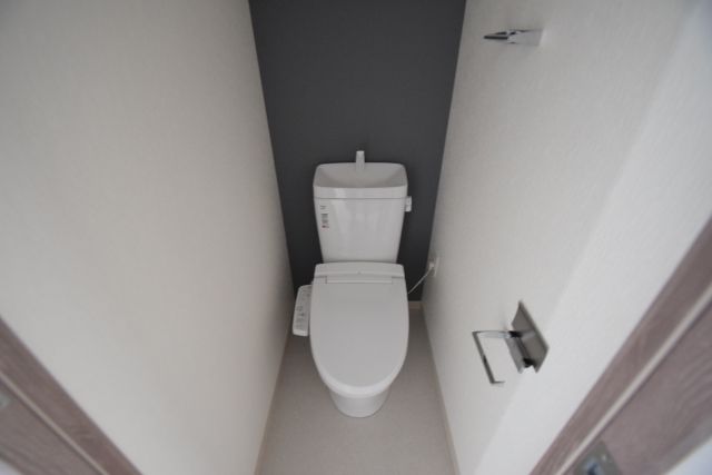 ＪＲ関西本線 ＪＲ難波駅 徒歩5分 15階建 築10年のトイレ写真