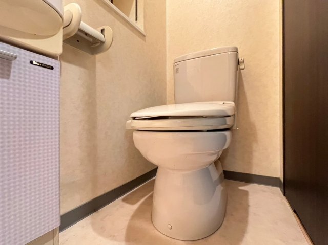 ディナスティ松屋町IIのトイレ写真