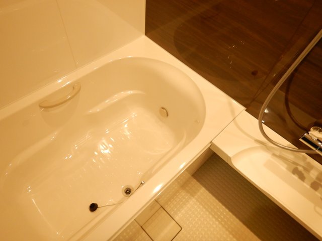 maison de baleine 1の風呂写真