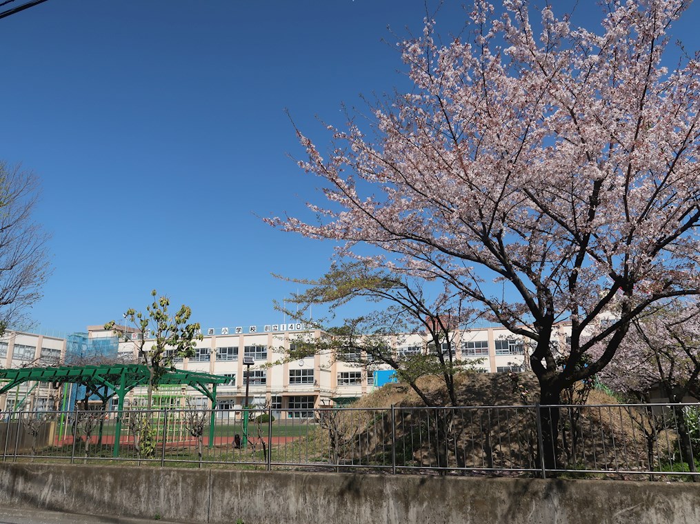 【カオス西綾瀬IIIの小学校】