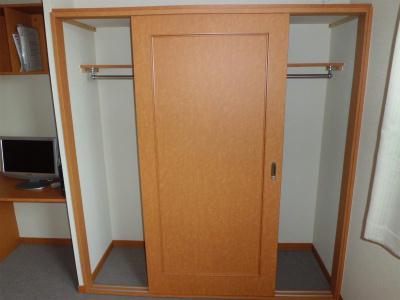 収納　クローゼットの中もカーペット張りです。