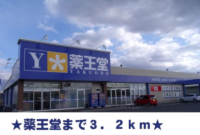 ドラックストア　薬王堂（ドラッグストア）まで3200m