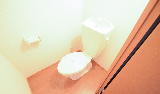 トイレ　※別号室の写真です