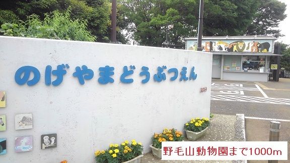 その他　野毛山動物園（その他）まで1000m