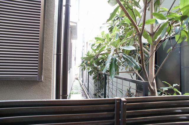 眺望　☆緑が見えます