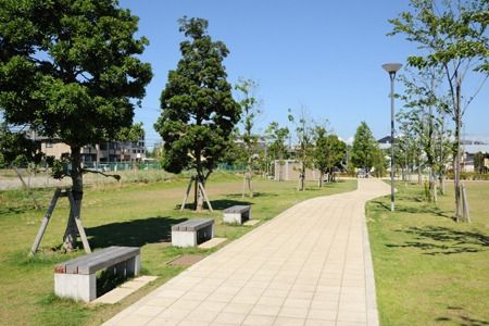 公園　東松戸中央公園（公園）まで250m