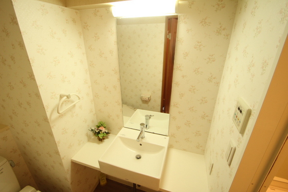 洗面設備　※別部屋の写真です