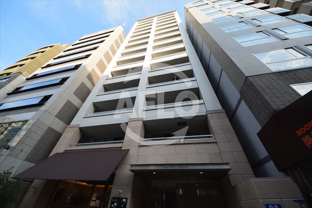 建物外観　キャピトル安堂寺　外観