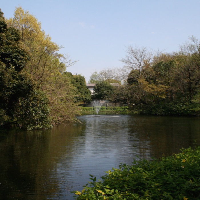 公園　和田堀公園（公園）まで311m