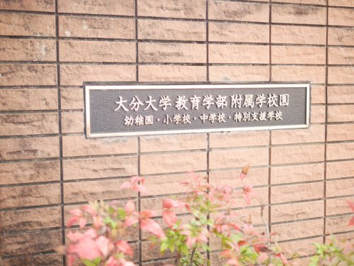 小学校　国立大分大学教育学部附属小学校（小学校）まで296m