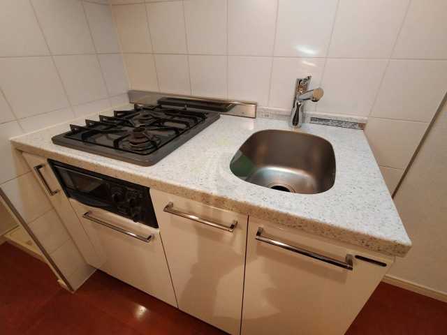 キッチン　ラグジュアリーアパートメントデュオ神楽坂　同間取り部屋写真