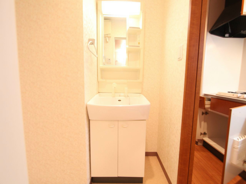 洗面設備　脱衣所　独立洗面台（シャンプードレッサー付）収納スペース有