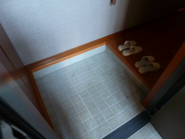 玄関　写真は102号室です。