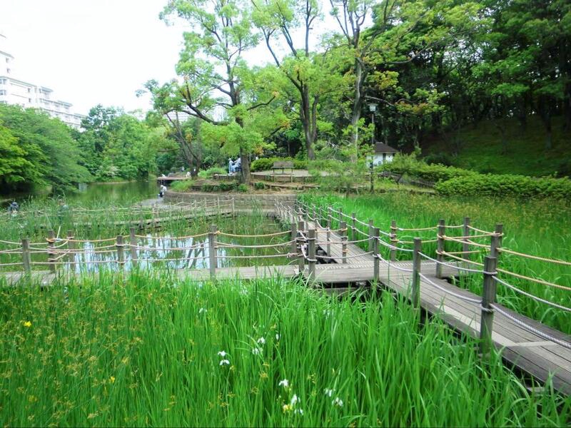 公園　平和の森公園（公園）まで1200m