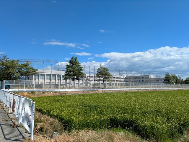 中学校　新潟市立月潟中学校（中学校）まで1502m