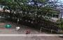 幼稚園・保育園　柳島幼稚園（幼稚園・保育園）まで300m