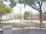 公園　松島公園（公園）まで860m
