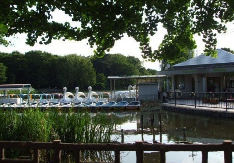 公園　東京都立石神井公園（公園）まで1739m