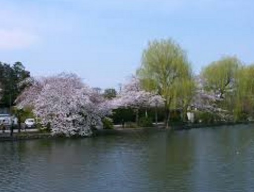 公園　石神井公園（公園）まで1849m