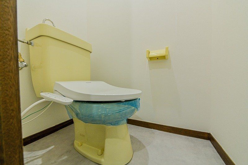 桂山大日町ハイツIIのトイレ写真