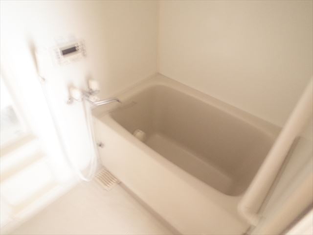 Court Midiの風呂写真