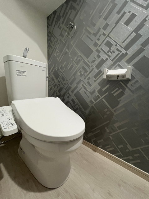 ダイチヒルズD&C VIのトイレ写真