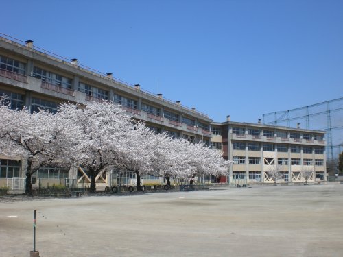 中学校　鶴ヶ島市立藤中学校（中学校）まで985m