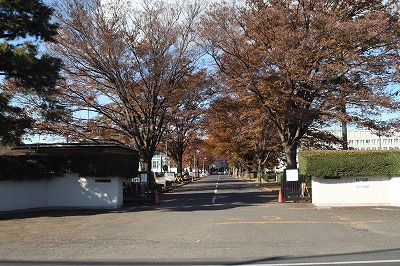 大学・短大　私立東京国際大学（大学・短大）まで163m