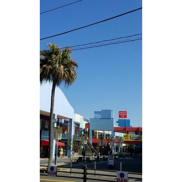 ショッピングセンター　ＯＳＣ湘南シティ（ショッピングセンター）まで1038m