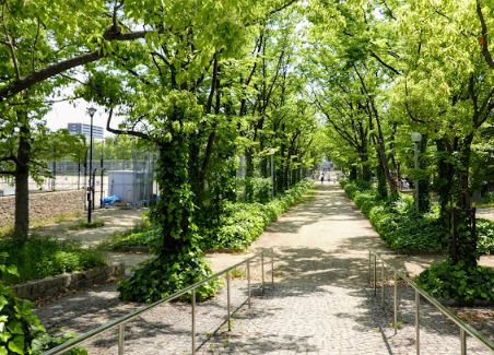 【イスズハイツベル泉尾の公園】