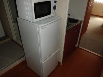 その他　冷蔵庫と電子レンジ。