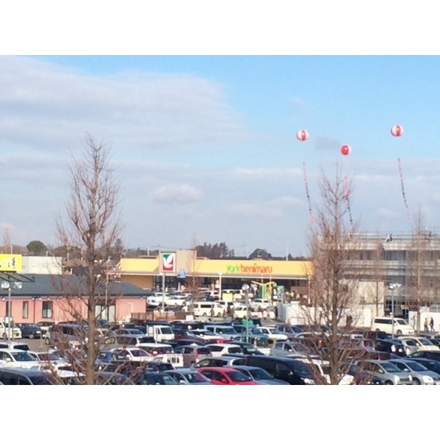 スーパー　ヨークベニマルひたち野うしく店（スーパー）まで1250m