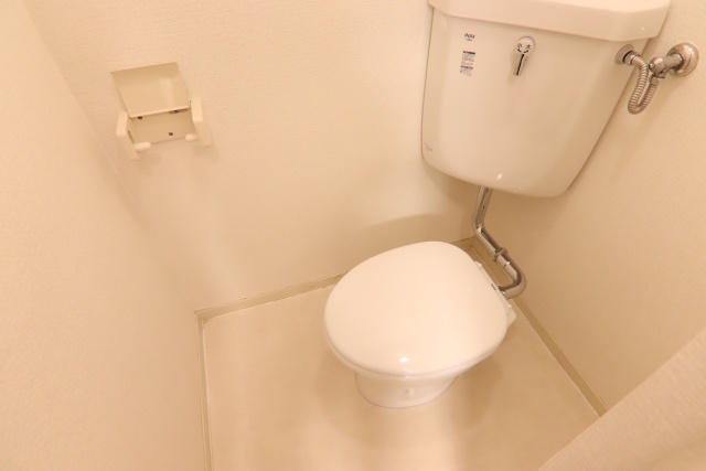 メゾン山の神のトイレ写真