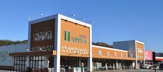 スーパー　天満屋ハピーズ金川店（スーパー）まで736m