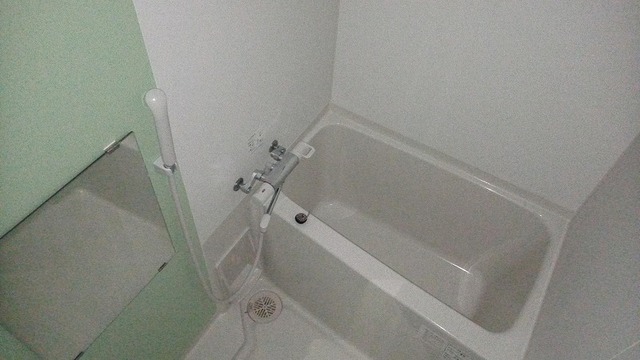 レオネクストカサミラIIの風呂写真