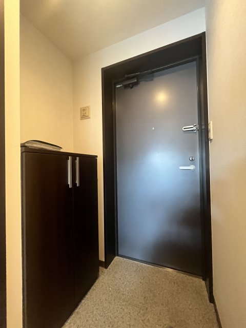 玄関　同物件、別号室のものです。