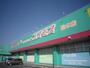 ドラックストア　ディスカウントドラッグコスモス 松木店（ドラッグストア）まで187m