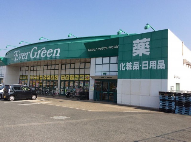 ドラックストア　エバグリーン岸和田久米田店（ドラッグストア）まで715m