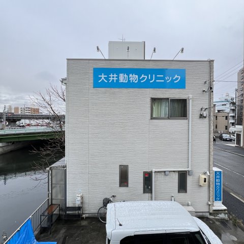 眺望　同仕様タイプです