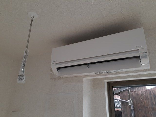 プラシード輝のその他写真
