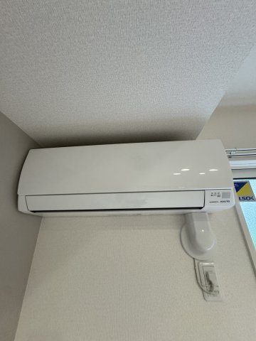 ASHA NOORのその他写真