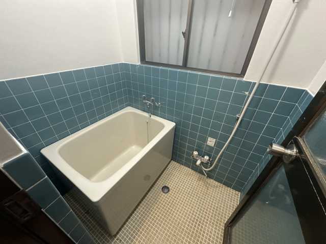ハイネスイイダの風呂写真