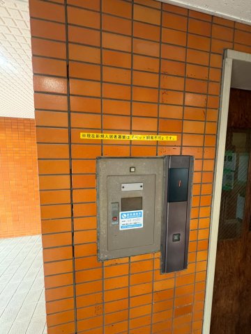 グリーンノースのその他写真